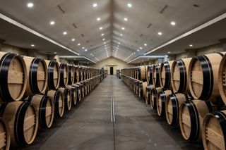 barrel room at Ch&acirc;teau Lascombes