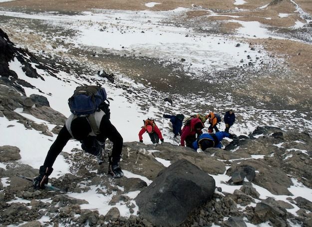 Little Green 'Aliens' Invading Antarctica | Live Science