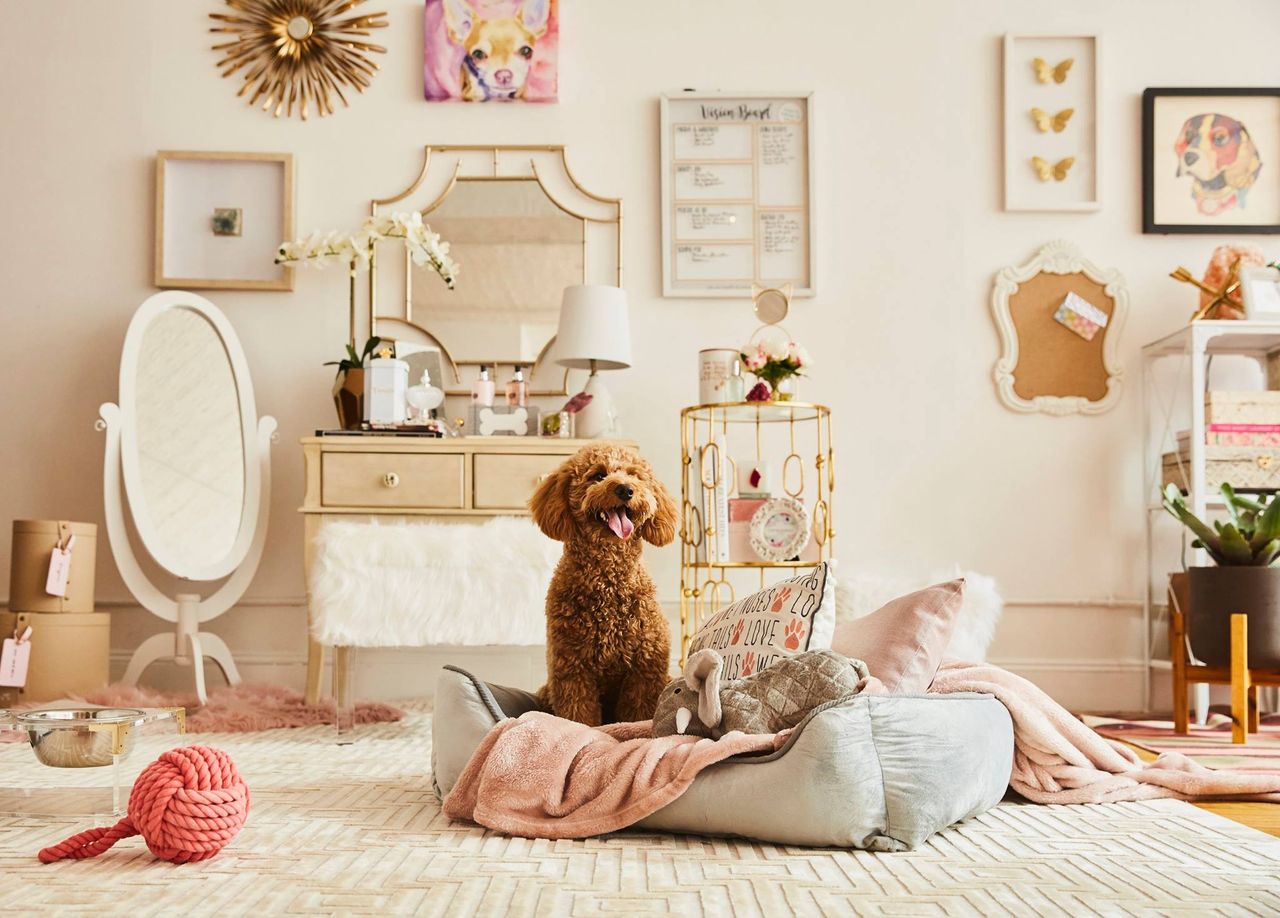 7 HomeGoods shopping secrets only diehard fans know Real Homes