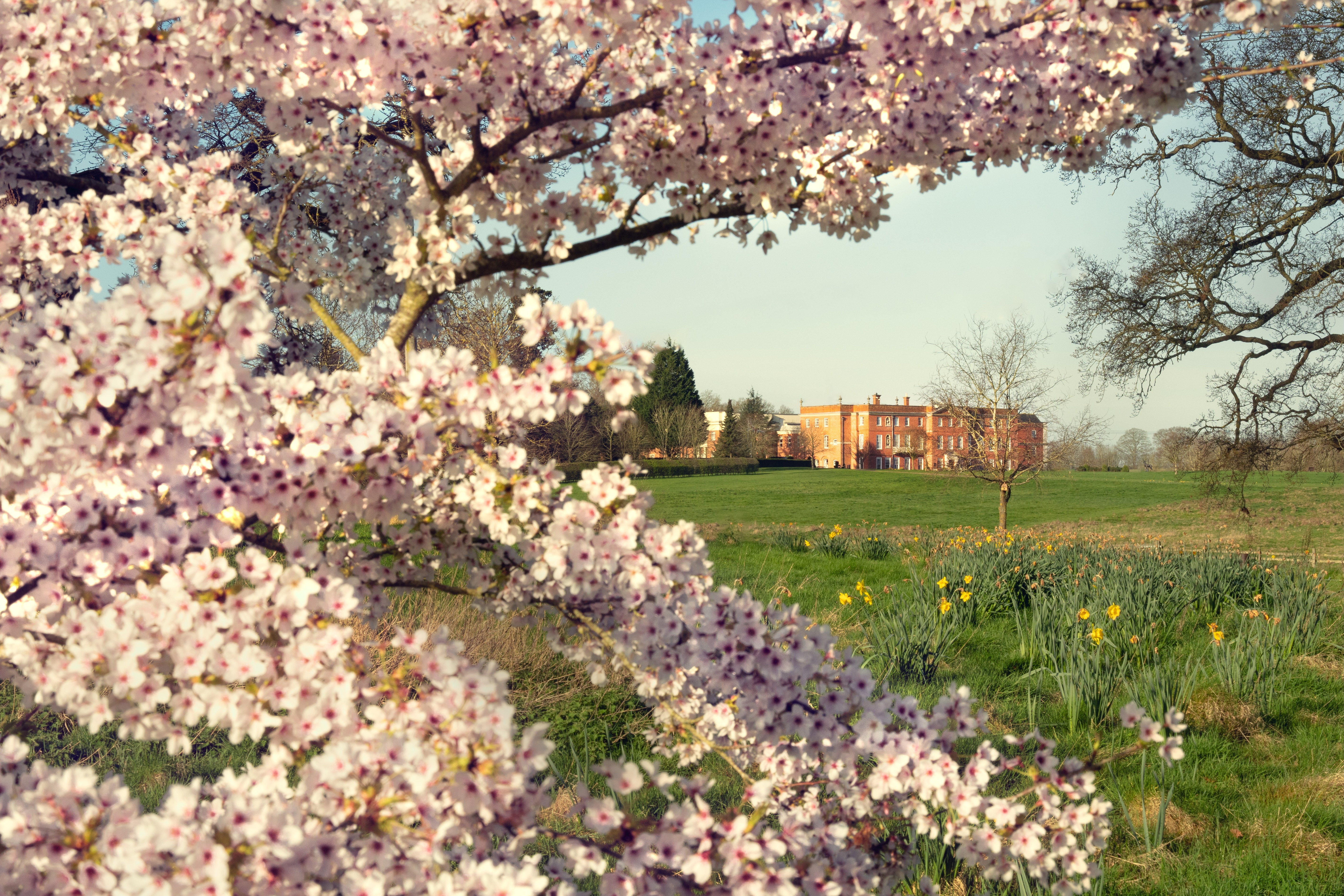 Four Seasons Hampshire in spring-time