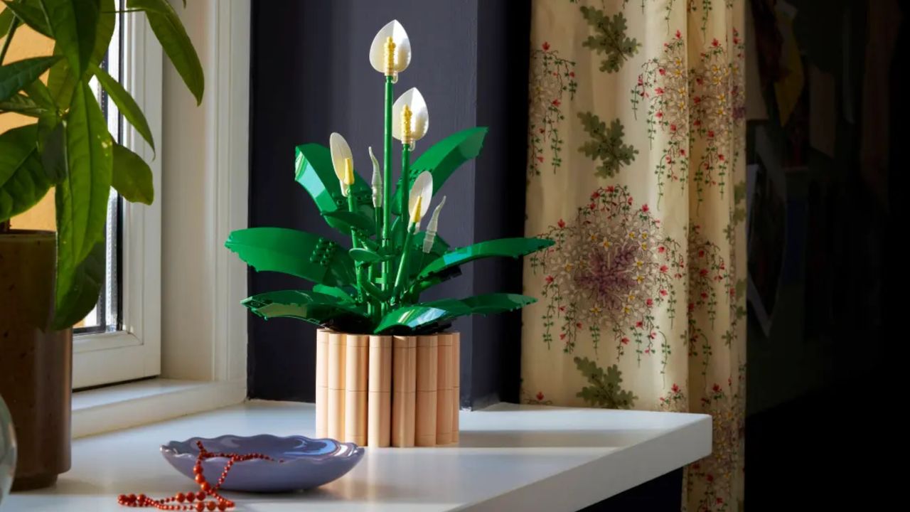 Lego Peace Lily set on a sideboard next to a window, beside curtains and a plant