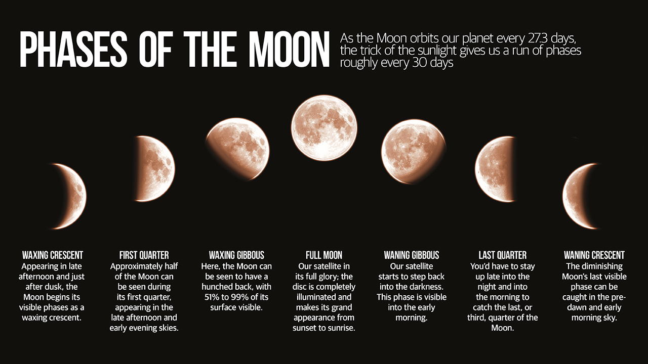 Infographic illustrating the different phases of the moon.