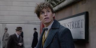 New Scamander Fantastic Beasts 2