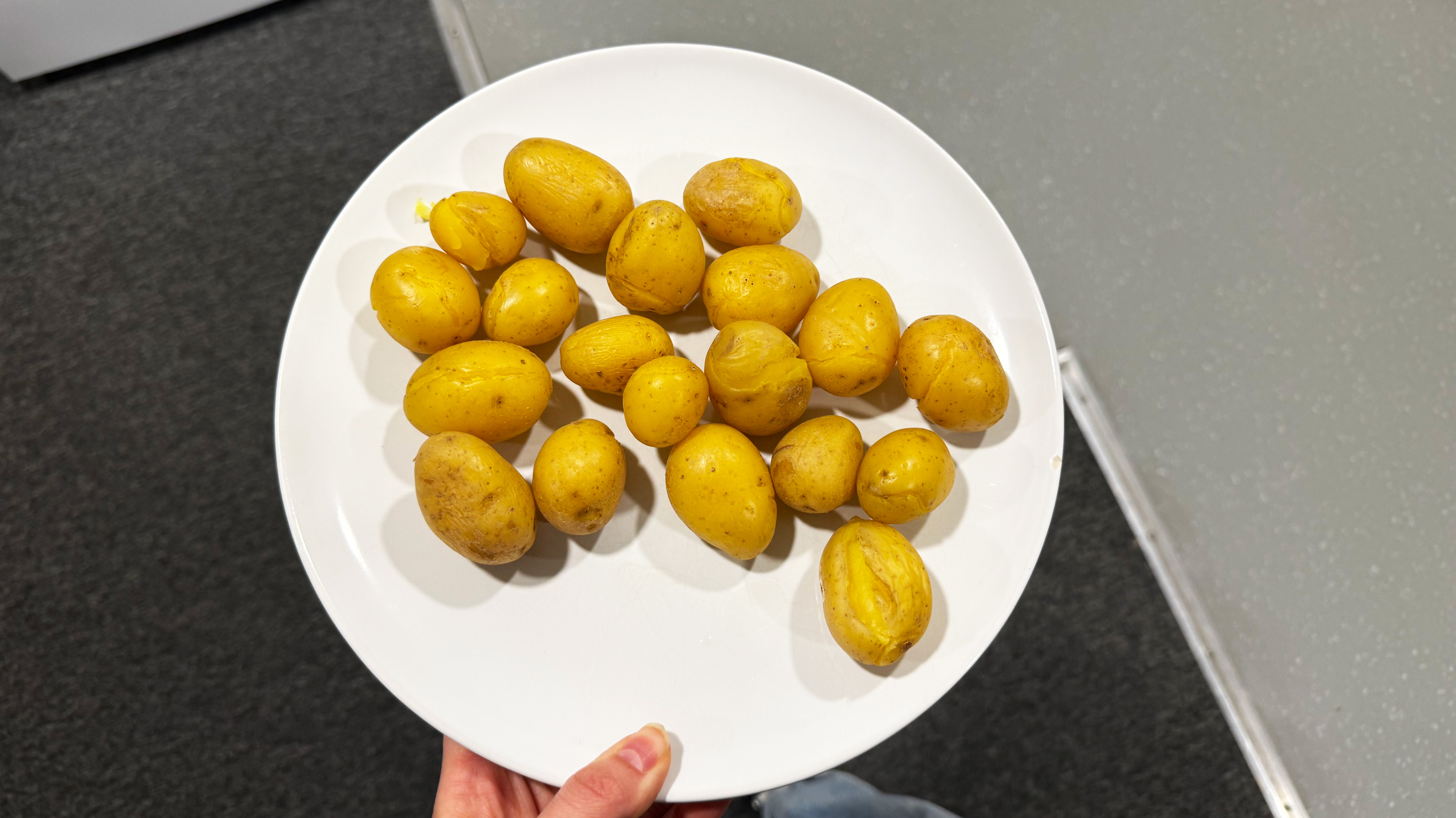 a photograph of food made in the instant pot rio wide