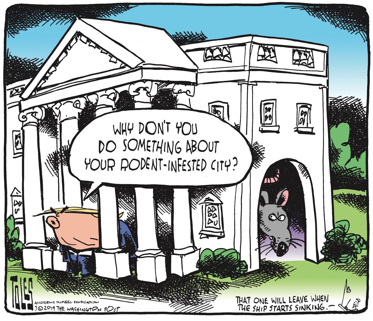 Political Cartoon Us Trump Rodent Infested City White House Tweets The Week 