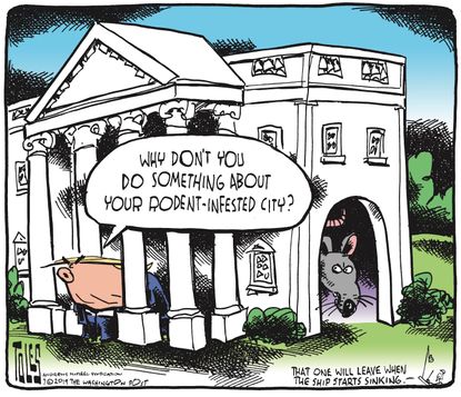 Political Cartoon U.S. Trump Rodent Infested City White House Tweets