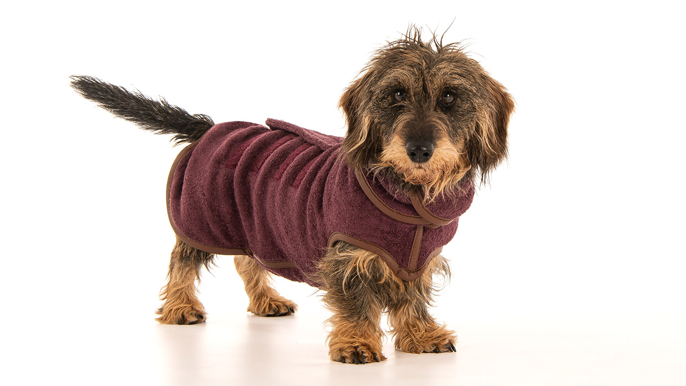 Ruff &amp;amp; Tumble dog drying coat Christmas gifts for dogs