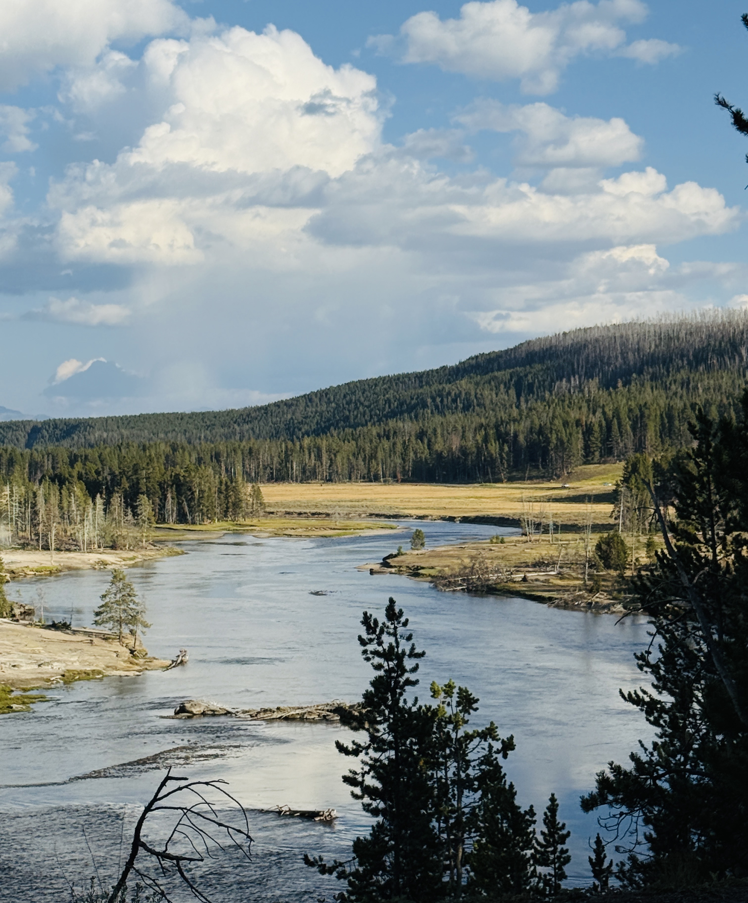 GuruShots - Nature March 2026