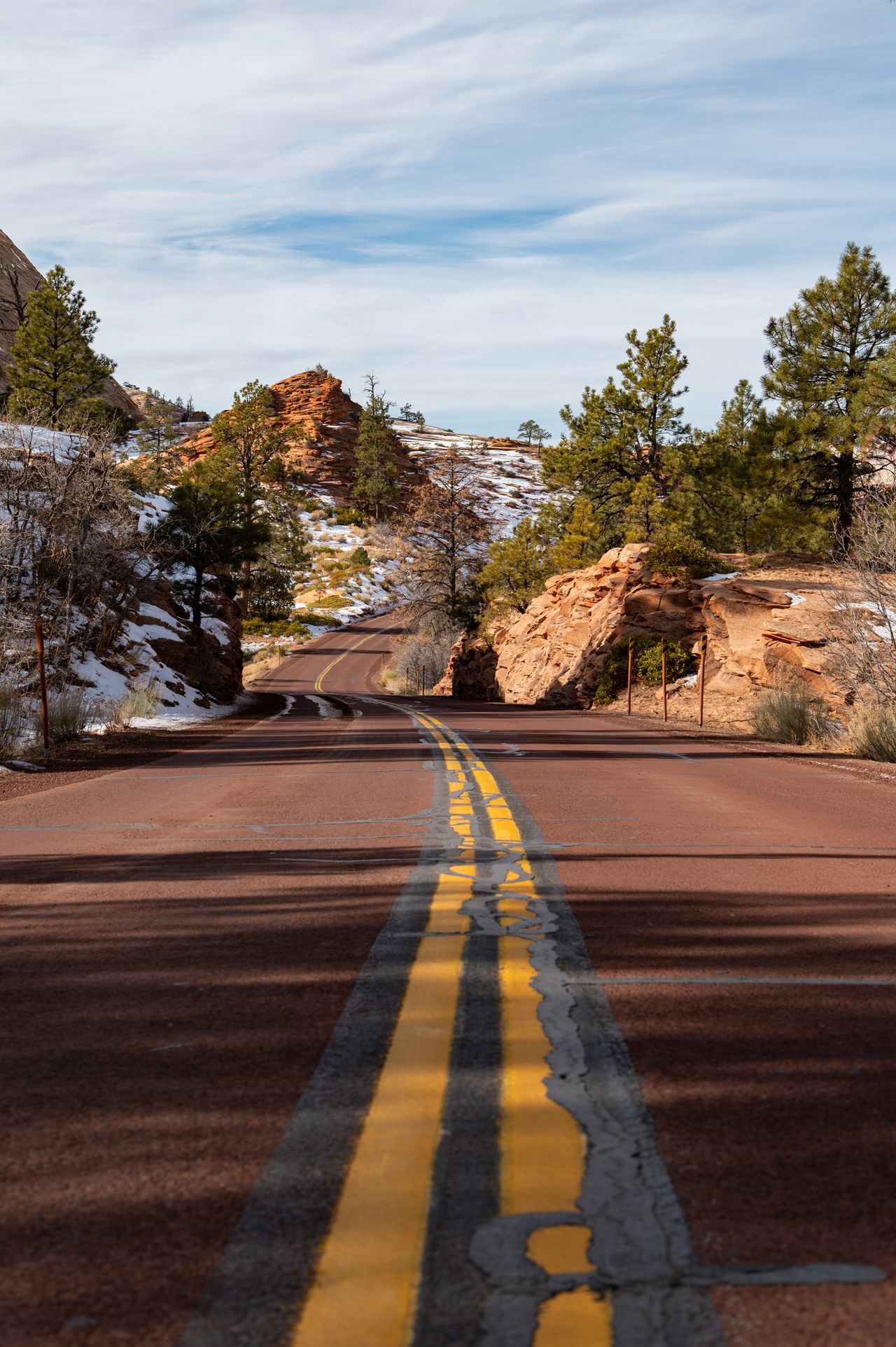 Nikon D780 review