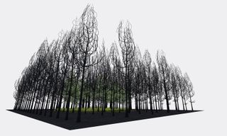 3D design forest installation
