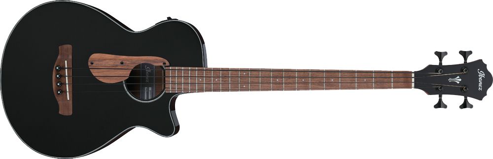Ibanez acoustic bass