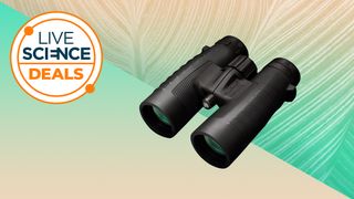 The Bushnell 10x42mm Trophy XLT binoculars on a Live Science backdrop
