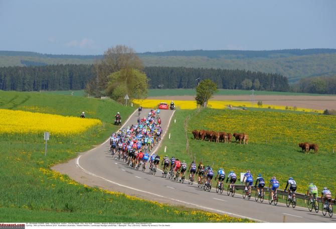The peloton out in the Belgian countryside