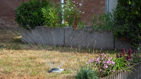 A lawn sprinkler operates on a scorched grass lawn