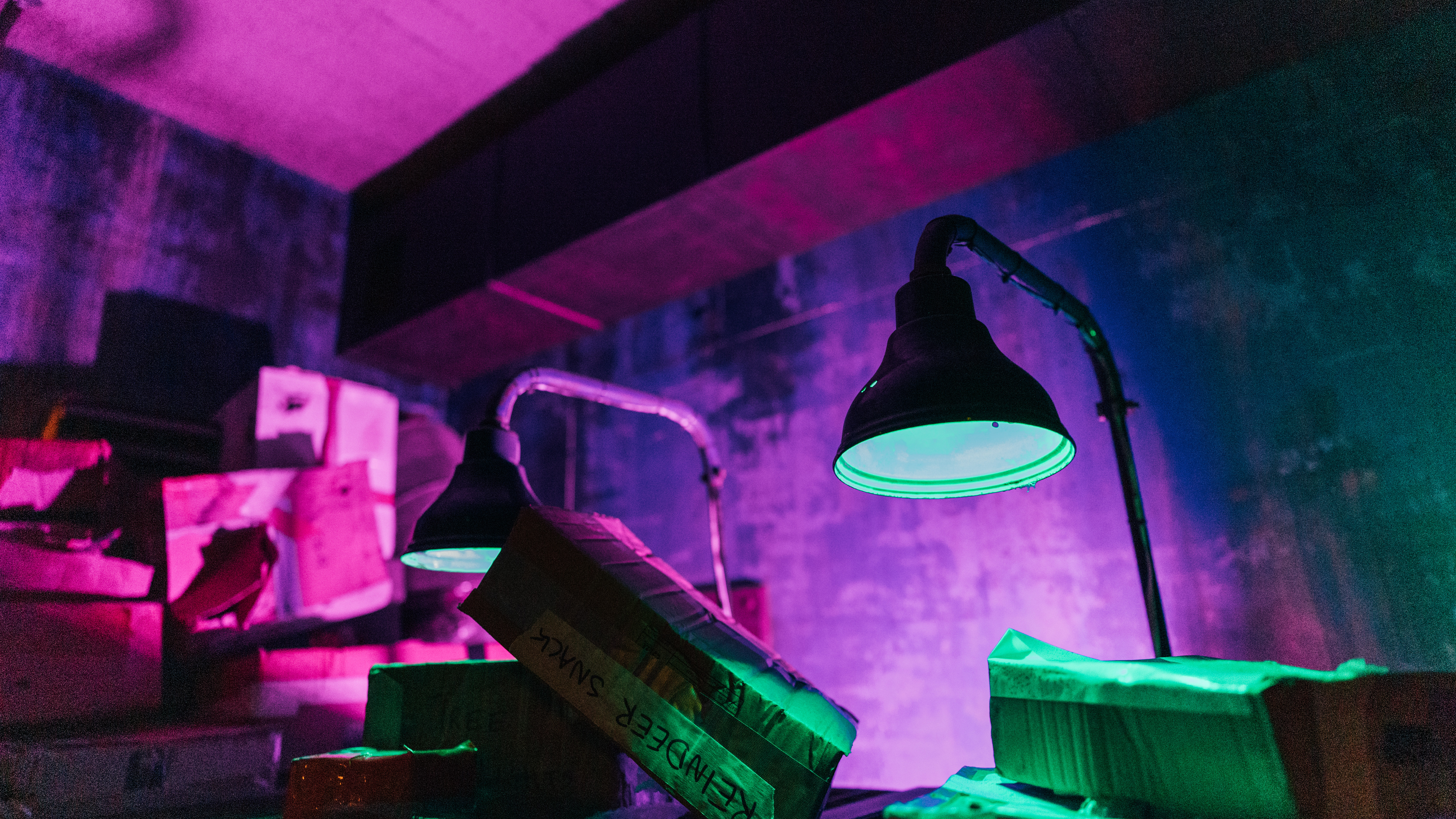 Canon EOS R6 Mark III sample image