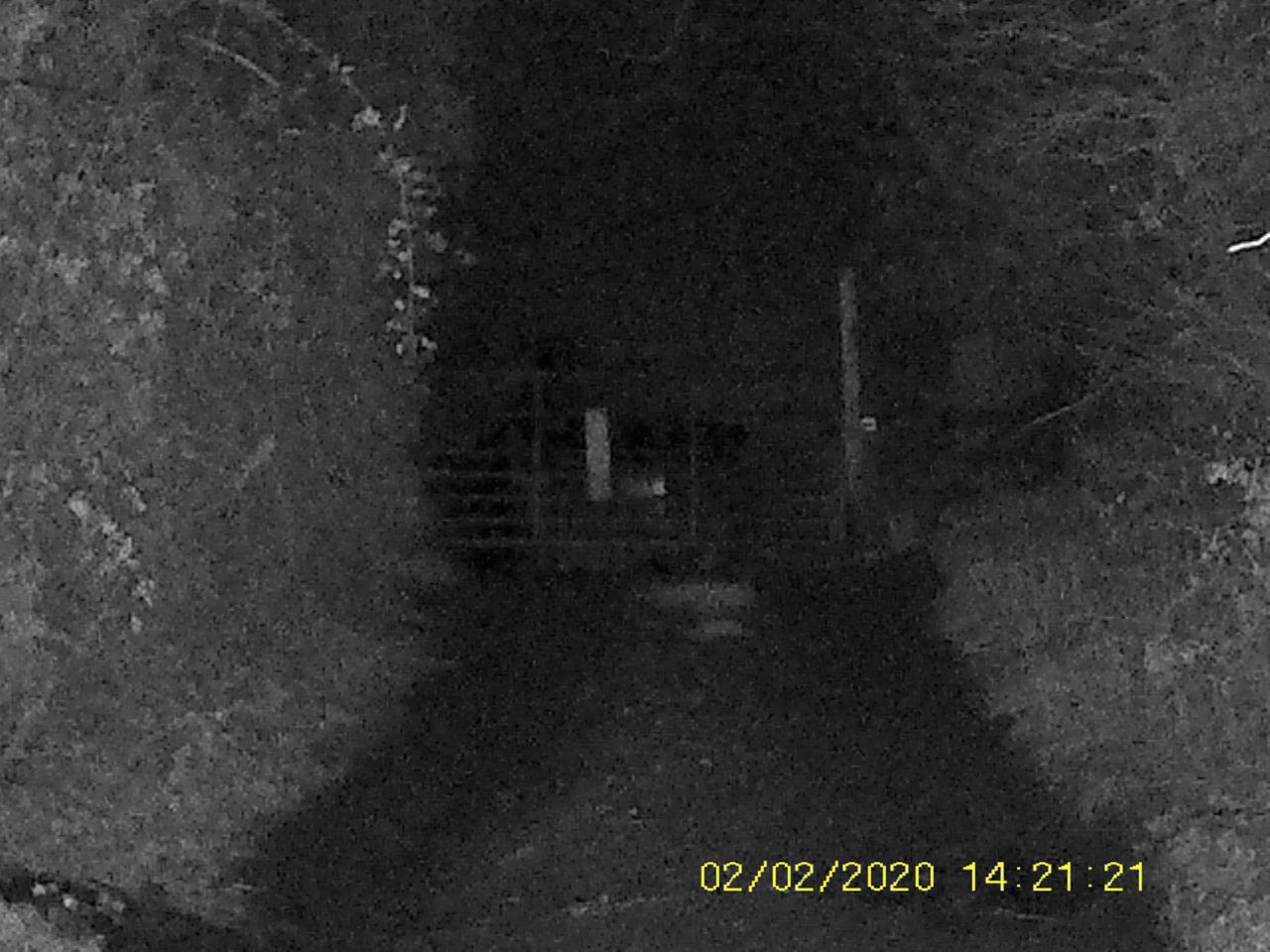 Sample images from the Rexing B1 Basic