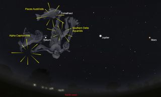 By morning, around 5am, local time, on Sunday, July 31, the meteor showers will appear to radiate from the western sky. The planets Saturn, Jupiter, and Mars should be visible too.
