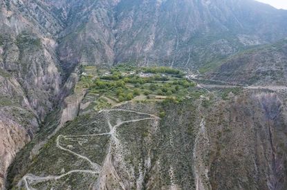 5-Vineyard-at-Shuori-village-in-Deqin-county-yunnan.jpg