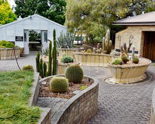 succulents and cacti in curved raised beds