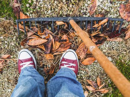 Rake And Dried Leaves