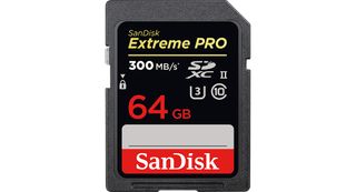 A fast memory card is important if you're to reach your camera's maximum burst depth