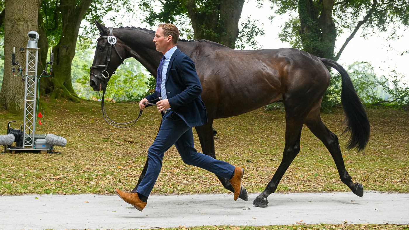 oliver-trot