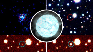 (Inset) an illustration of a white dwarf. (Main top) Gaia22ayj seen in X-rays and visible light (Main bottom) Images of Gaia22ayj taken by ZTF