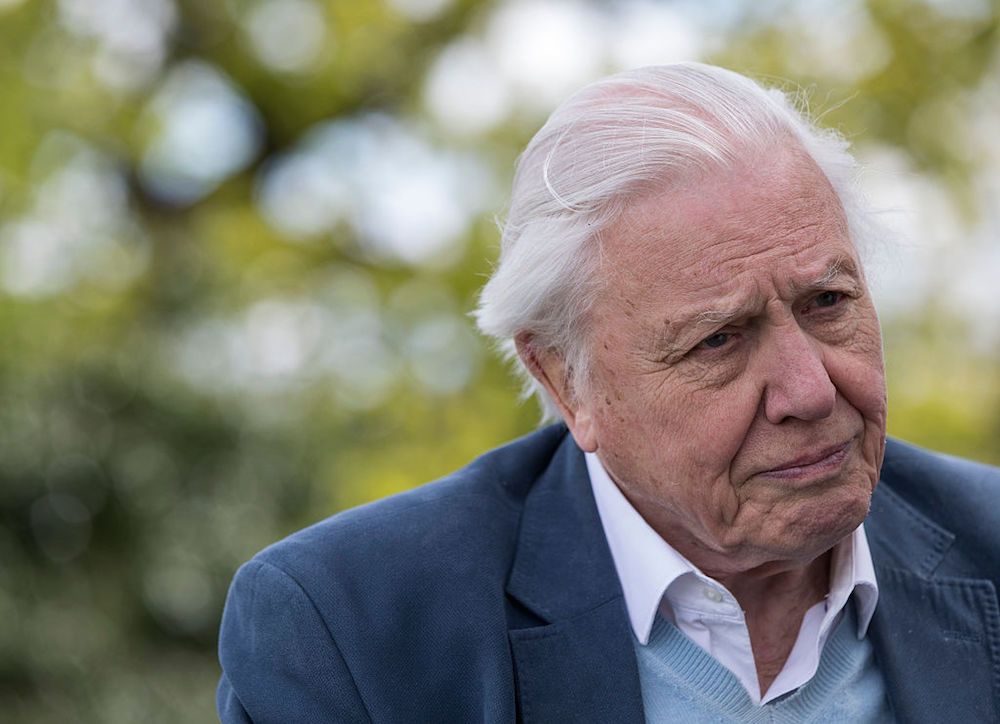 Sir David Attenborough 