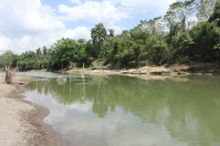 The Walanae River at Paroto, about a mile (2 km) east of Talepu. 