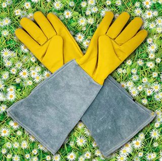 Amazon garden essentials gloves to wear