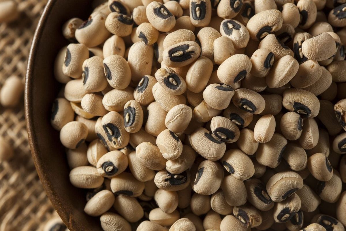 Black Eyed Pea Harvest Guide Learn When To Pick Black Eyed Peas