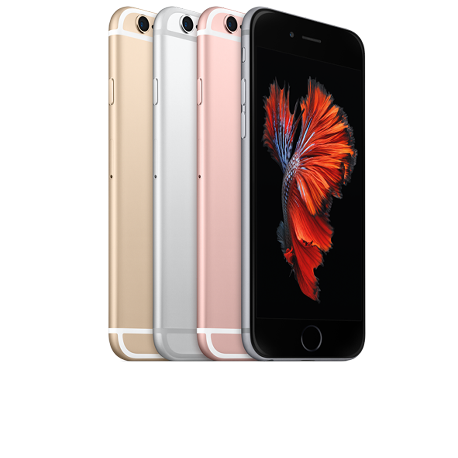 アイフォン7 iPhone 7 - Technical Specifications - Apple Support (IL)