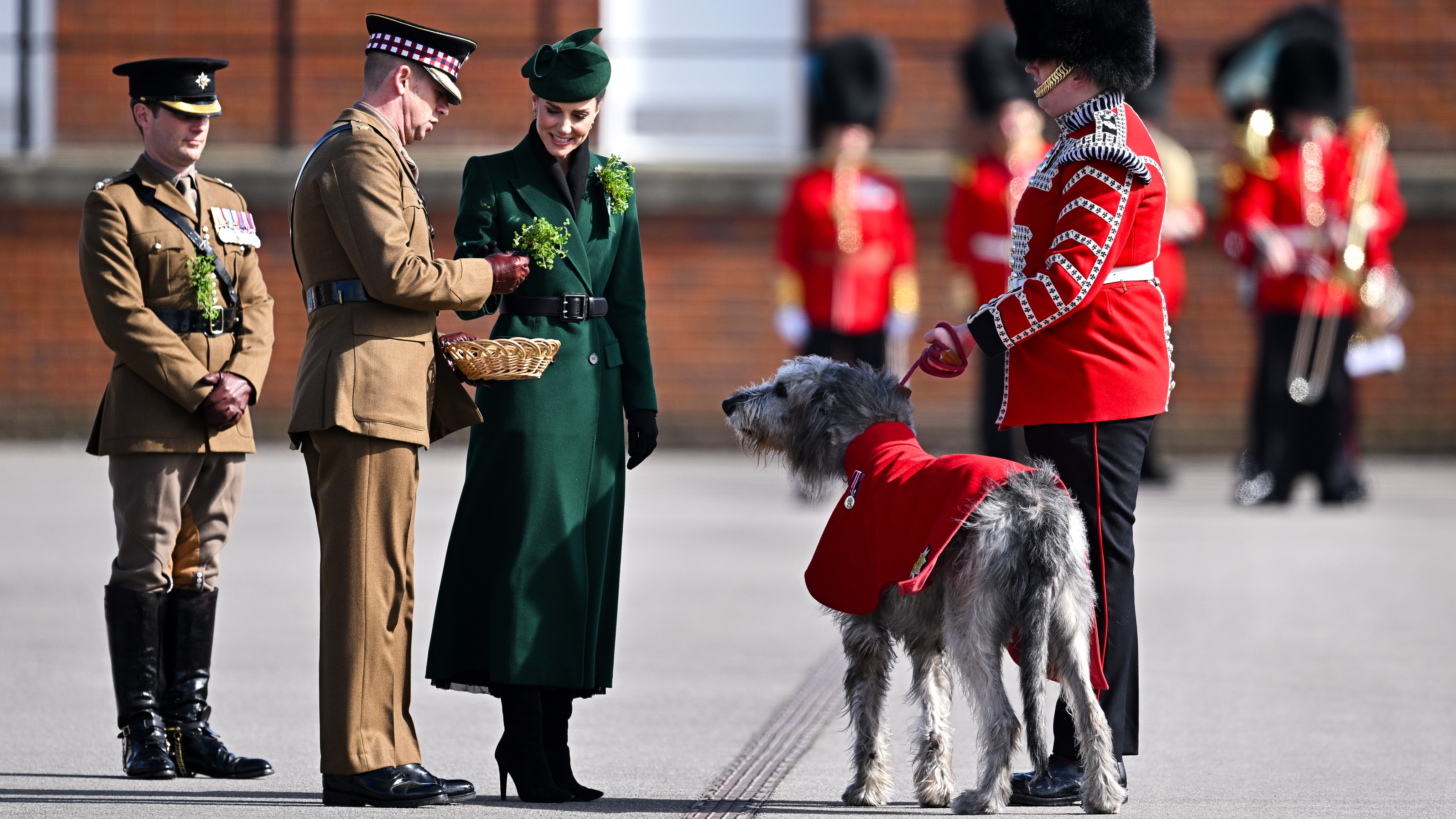 Catherine, Princess of Wales meets Turlough M&amp;oacute;r, the Irish Wolf Hound regimental mascot during the 2026 Irish Guards' St. Patrick's Day Parade