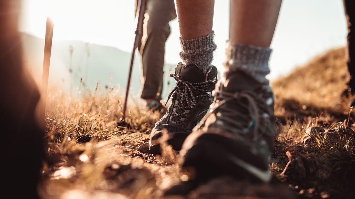 Hiking shoes vs trail running shoes which is best for you? Advnture