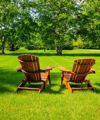 two Adirondck chairs on a green lawn with trees in the distance