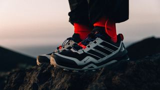 The Adidas Terrex Skychaser GTX shoes on the trail