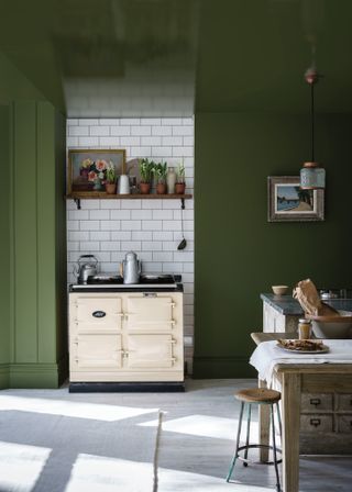 Green kitchen with green gloss painted ceiling