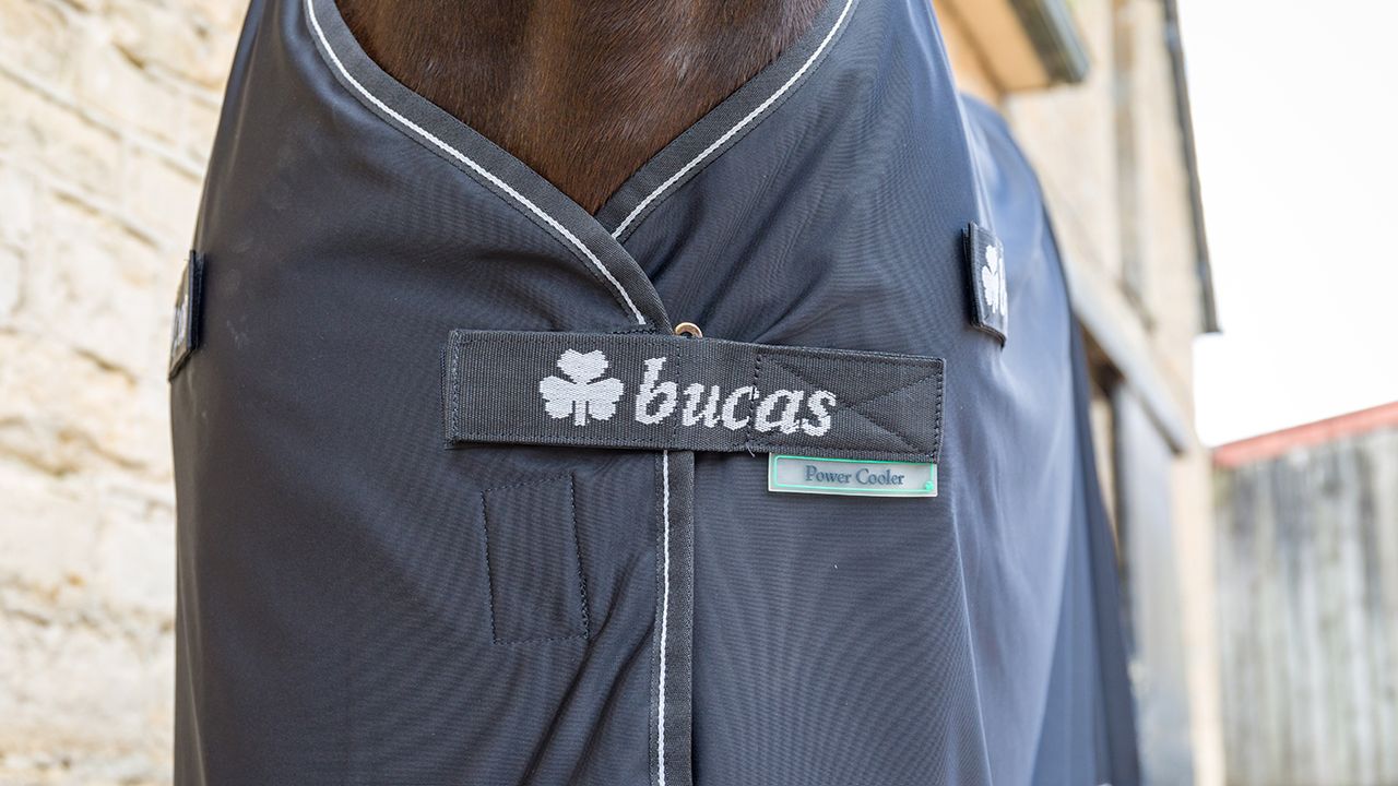 Bucas Panel Prize cooler review