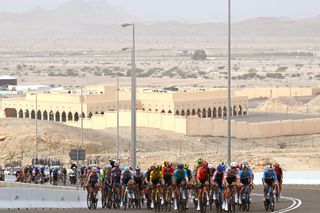 The peloton climbs Jebel Hafeet on stage 7 of the UAE Tour 2024