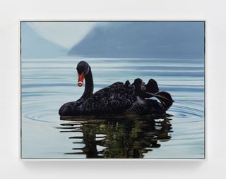 Painting of a black swan on a lake