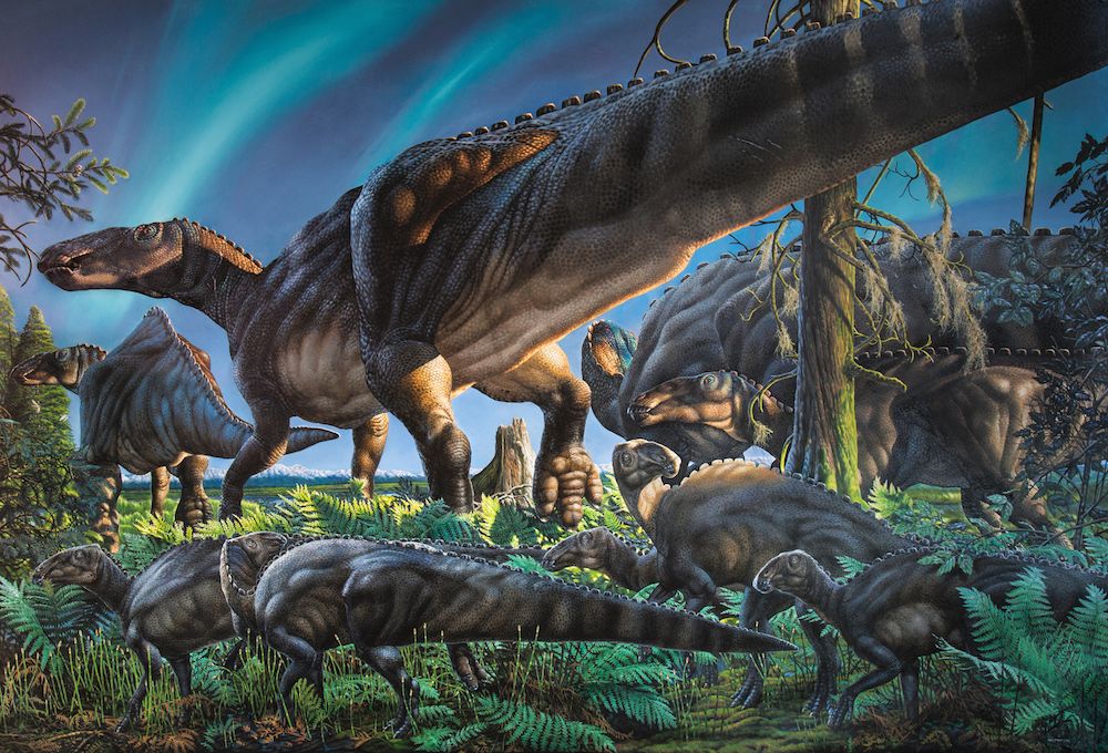 liscomb bed site, duck-billed dinosaur