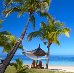 Tropical beach with palm trees
