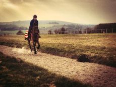 Hilly-gallops-1-e1458814378487.jpeg