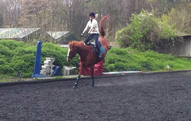 &ldquo;This is when I most certainly thought I was seconds from hitting the deck. We had been practising grids and doing some gymnastic work. Fran (my horse) took the word gymnastic quite literally and gave me a handstand which would rival one from an Olympic gymnast!&rdquo; &mdash; Sophie Wratting