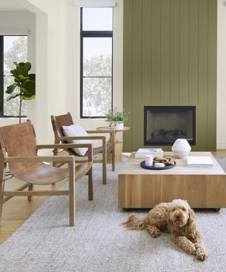 A room with brown armchairs, an olive green fireplace and a dog sitting on the floor