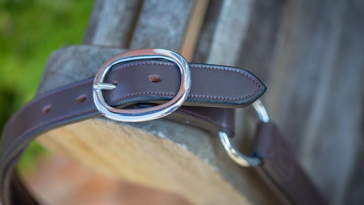 John Whitaker Chicago perforated leather headcollar review
