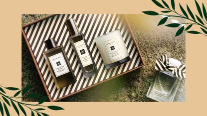 a set of Jo Malone prodcuts on sale for Cyber Monday on a cream background