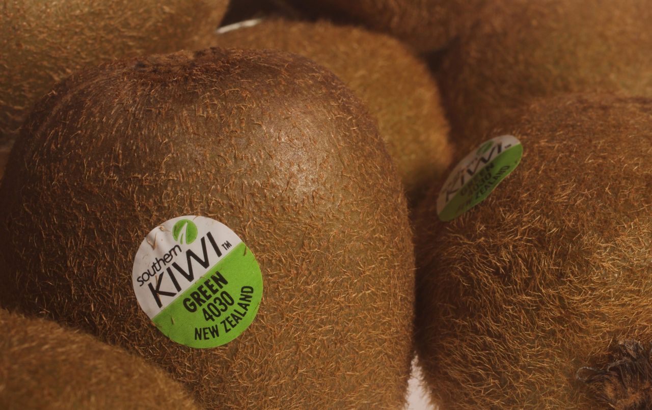 The kiwi accounts for 30% of New Zealand&#039;s horticultural exports.