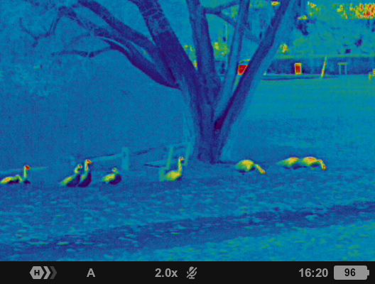 Night vision photo taken with the Pulsar Axion XQ30 PRO night vision monocular