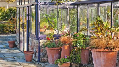 Terracotta plant pots outside greenhouse